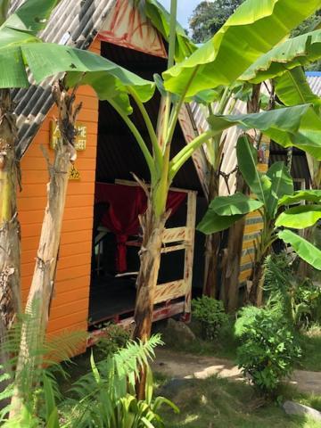 Beach Shack Chalet - Garden View Aframe Big Unit Kampong Juara エクステリア 写真